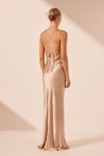 LA LUNE LACE BACK MAXI DRESS - GOLD - Image 4
